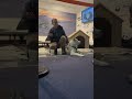 Antarctic Guided Tour Preview