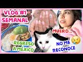 REGRESO A MÉXICO + Muriendo por el JETLAG // #VlogSemanal 1 | Juli