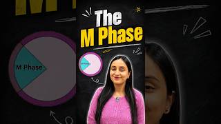 M Phase of the Cell Cycle | Class 11 Biology #neet #shorts #yt #study #biology #exam #class11