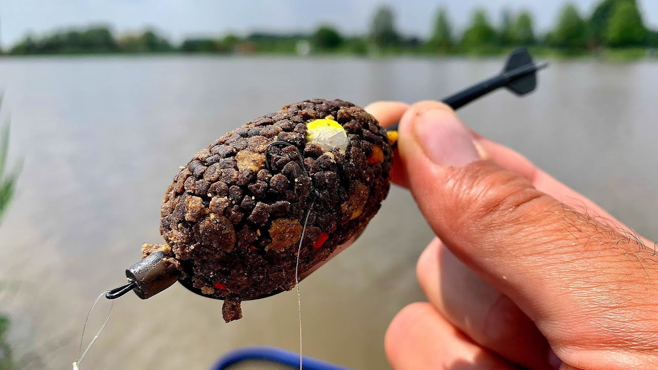 Method feeder škola - rybaření kaprů v létě