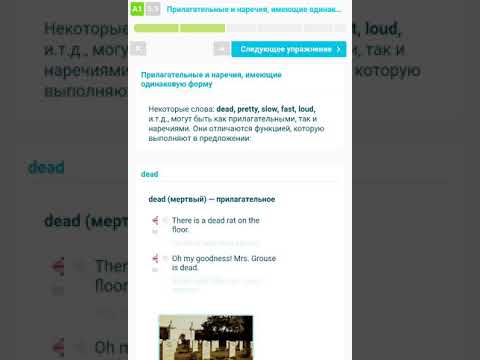 А1. Урок 5.9. Прилагательные и наречия имеющие одинаковую форму.