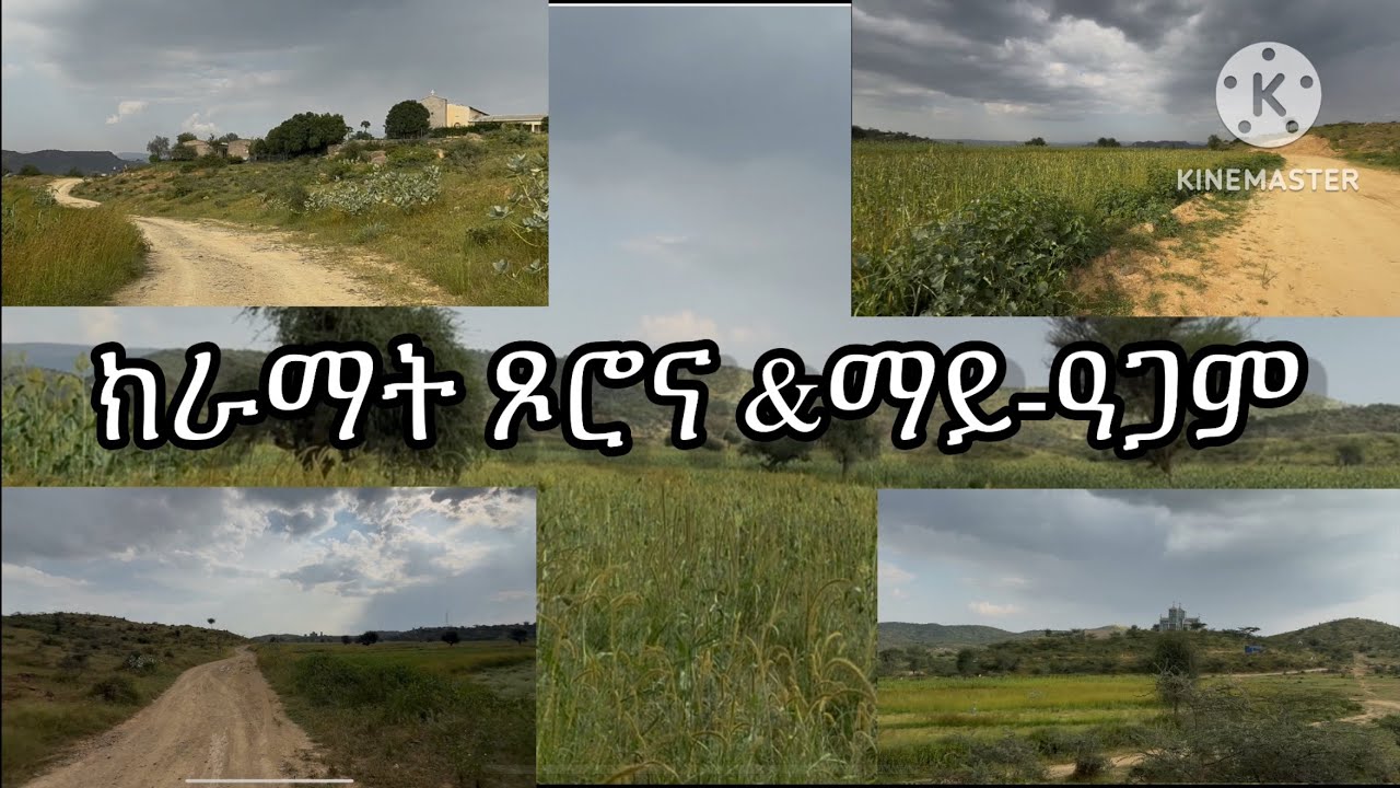 ጉዞ ጾሮና ማይ ዓጋም