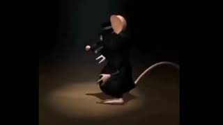 Крыса танцует под музыку