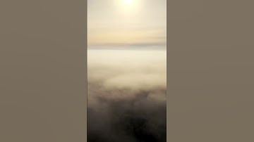 The Carboniferous period #universe #documentary #science #history #earth #yt