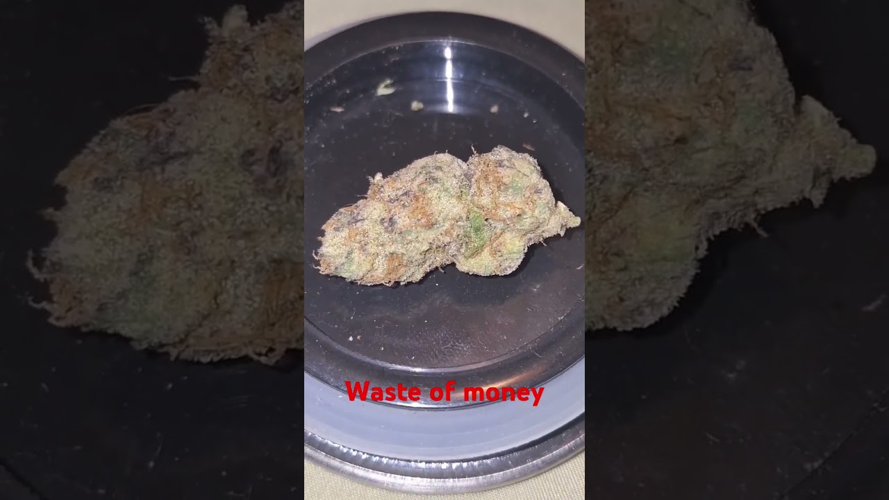 Galaxy Groves has awful THCA..