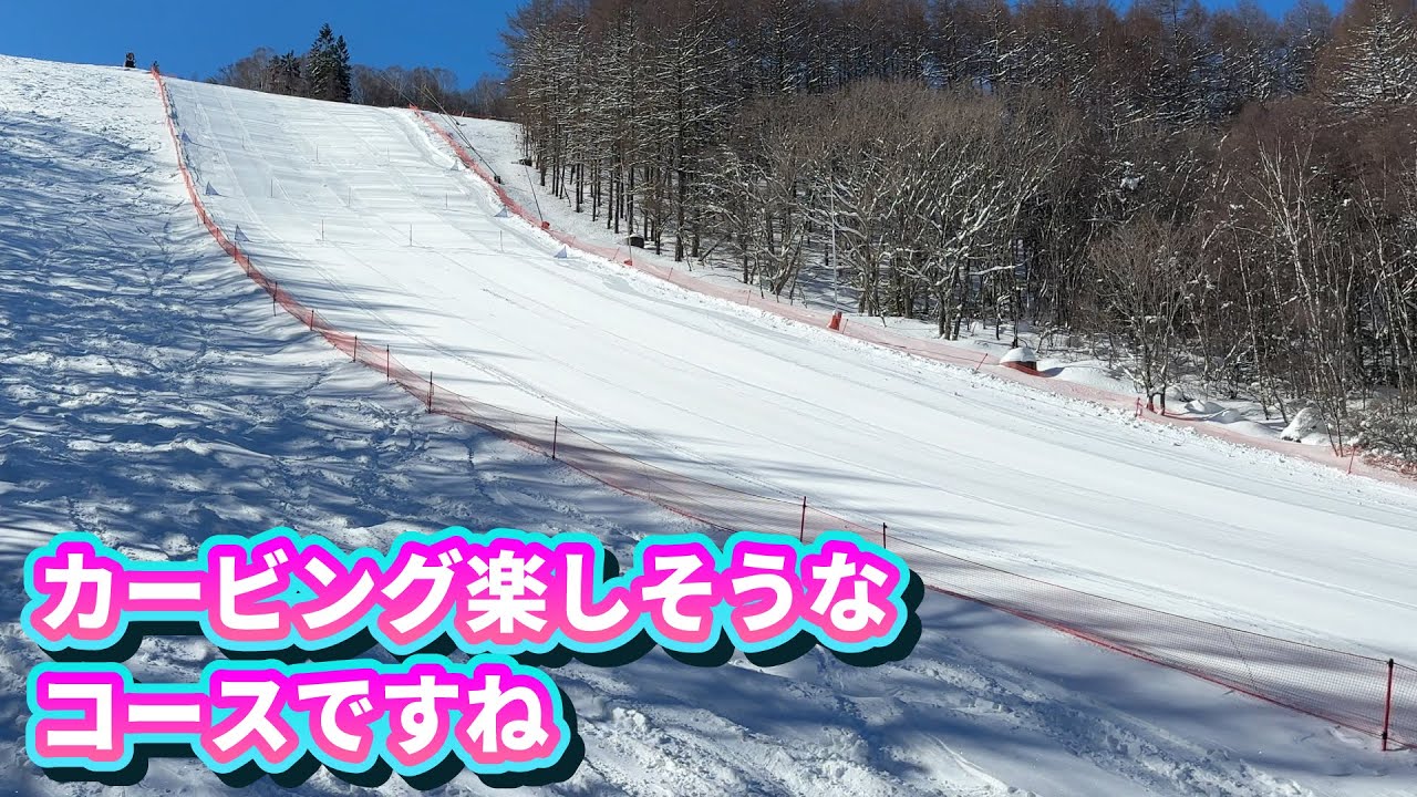 カービングが楽しそうな場所しらかば2in1スキー場