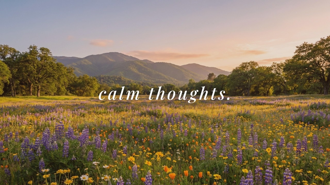 a quiet playlist to calm your thoughts | piano