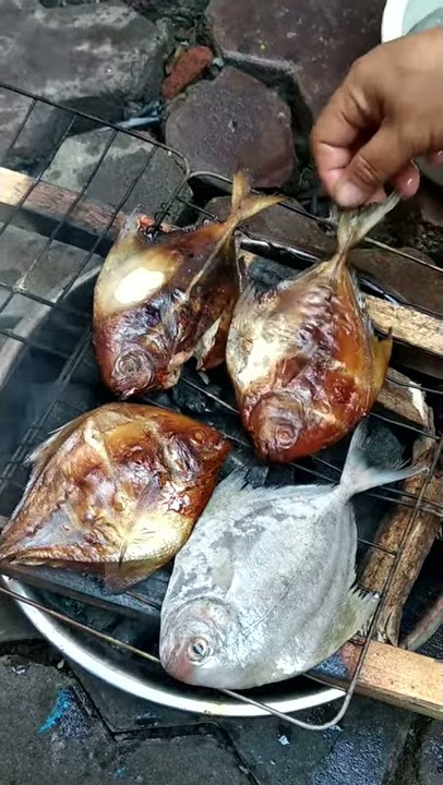 Bakar - bakar ikan dorang