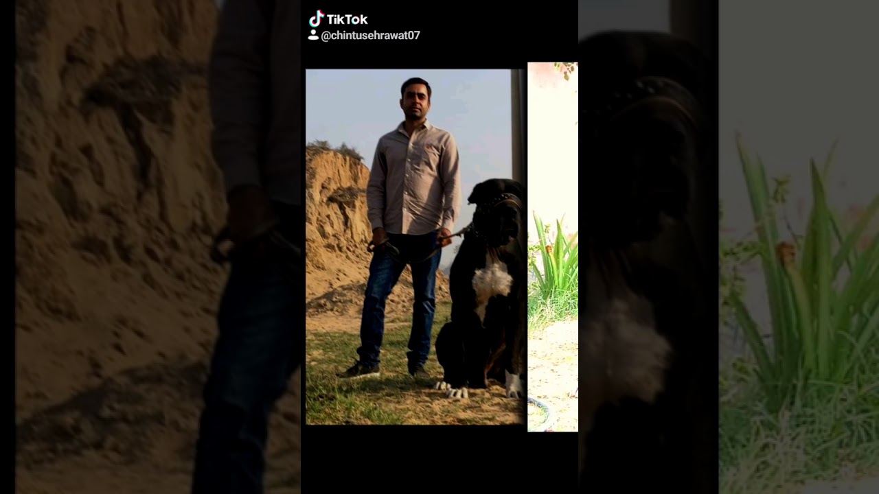 Pakistan imp king malanga 😎