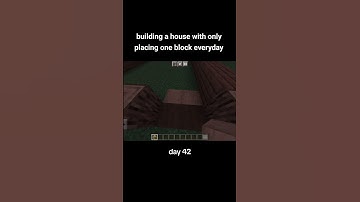 building a house with only placing one block everyday (day 42