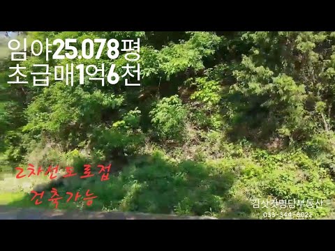 앞으로 가격싸고 좋은산 시대 2차선 넓은도로접 평수크고  누구나찿던 임야 초강추 033-344-8022 매번40724