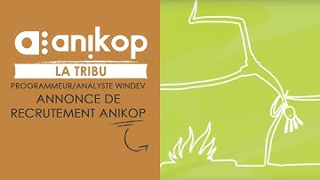 Programmeur/Analyste Windev - Annonce de recrutement Anikop