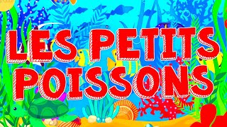 LES PETITS POISSONS DANS LEAU 🐠 🐟 🐡