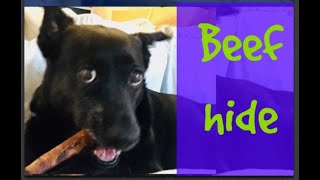 Rawhide Beef hide Pros and Cons Content