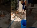 lipat tubo