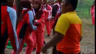 Pramaliska Rok Mini 2013