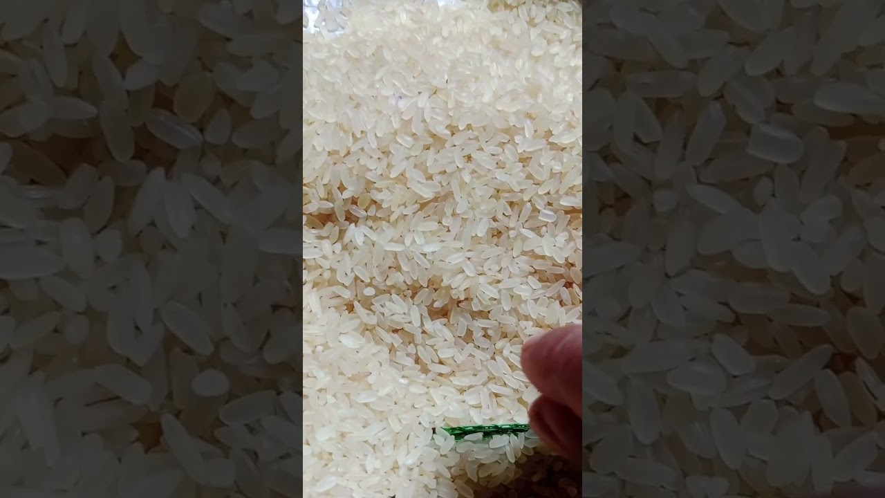 plastic rice 🌾🌾
