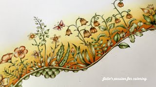 ENCHANTED FOREST by Johanna Basford - prismacolor pencils - color along