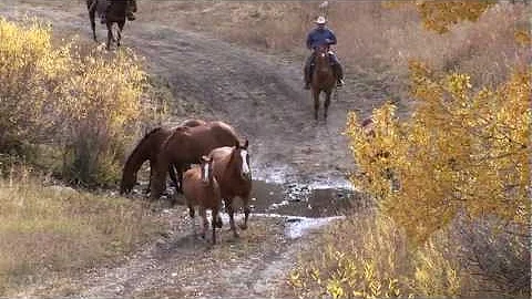 Ken McNabb TV Show - Ranch episode