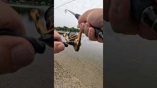 Dark horse tackle June box bassmooch jerk bait #fishing #bassfishing #largemouthbass #shorts