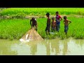 Best Net Fishing | Traditional Village Net Fishing | Fishing with cast net by Village People