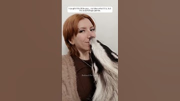 I caught this little guy… no idea what it is, but it’s surprisingly gentle.