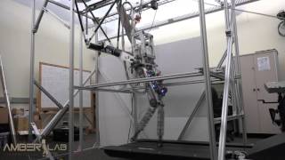Bipedal Robotic Running on DURUS-2D