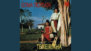 Video thumbnail of "Teixeirinha - Tropeiro Velho"