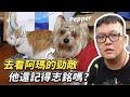 【去看阿瑪的勁敵！他還記得志銘嗎？】志銘與狸貓