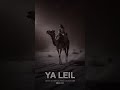 Ya Leil | Techno house • Oriental Electronic Music