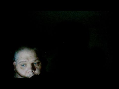 pythons for sale Late Night With Andrew (DEA)