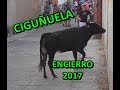 CIGUÑUELA (Va), ENCIERRO URBANO. 25/08/2017