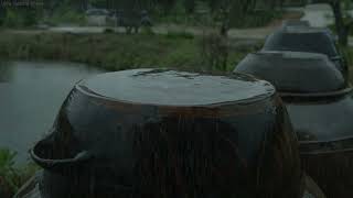 When Rain Sounds Gently Fall, the Heart Finds Calm, Stress Dissolves and Deep Sleep Appears.