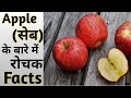 Apple (सेब) के बारे में रोचक तथ्य |Amazing Facts about Apple | The Parikshit.