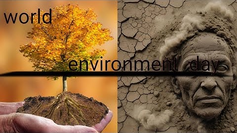 World Environment Day 2024 | June 5 Environment Day Animated Video | Status Video
