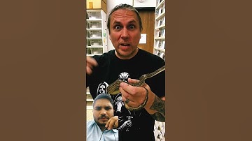 Colombian Rainbow Boas😱 MRVPP😱BHB Reptiles Flashback w/ Brian. #brianbarczyk #bhbreptiles #mrvpp890