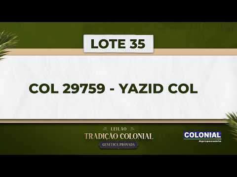 LOTE 35    COL 29759   YAZID COL