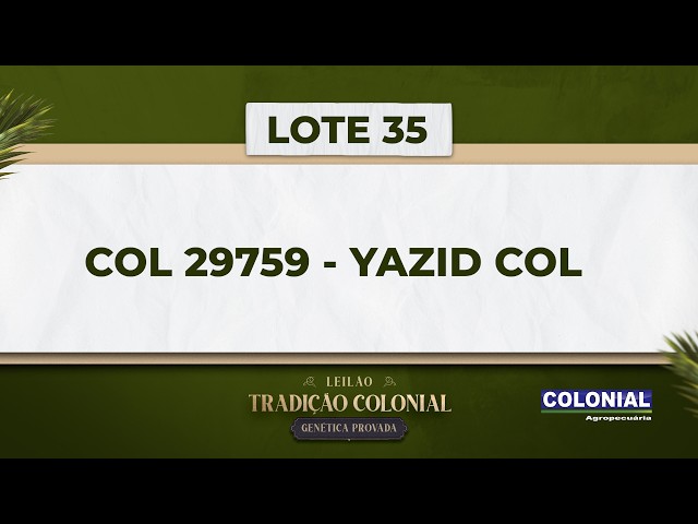 LOTE 35    COL 29759   YAZID COL