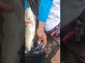Part 2 mancing di Sumedang villa dibawah tol Cisumdawu