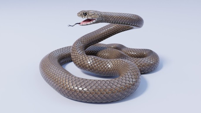 Animated Garter Snake - 3D Model by Dibia Digital