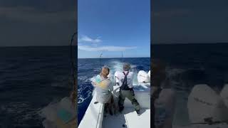 Tuna Fishing in the Freeman