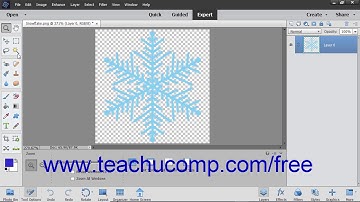 Photoshop Elements 2019 Tutorial Selection Basics Adobe Training