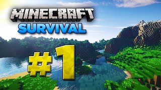 Vos nepasiklydau (Minecraft) #1 Survival