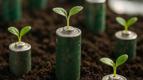 New recycling method plants dead batteries in the ground and harvests clean fuel