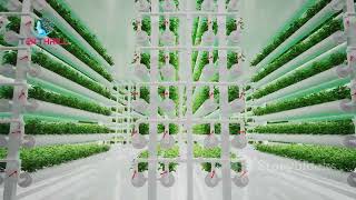 Vertical Farming: Growing Food in Skyscrapers! Say Goodbye to Famine: Growing Food in Cities! Part 1