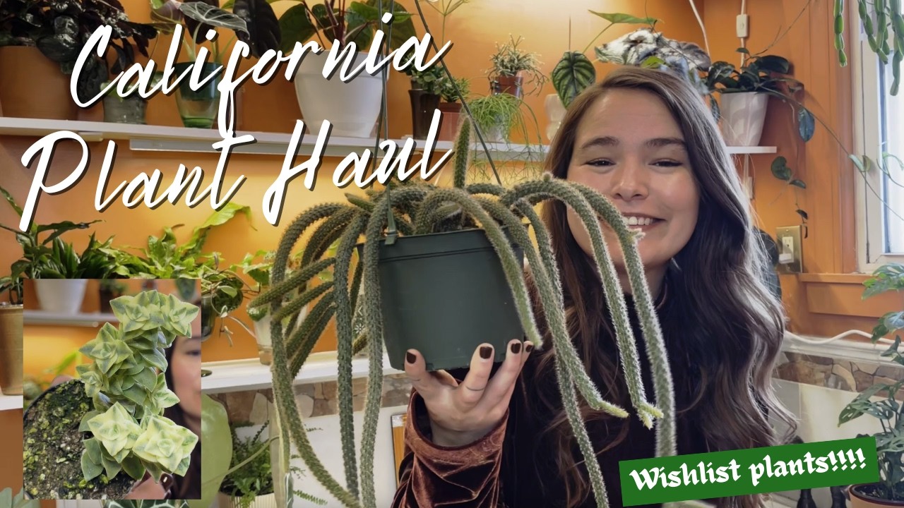California Plant Haul | Wishlist plants!