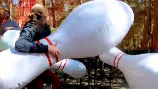 Treetop Networld Not Just For Kids