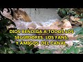UN FELIZ Y PRÓSPERO AÑO 2019 PARA TODOS LOS AMIGOS SEGUIDORES Y FANS