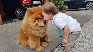 When we give each other the sweetest things❤️ by Cute Pets TV 101,120 views 1 day ago 10 minutes, 52 seconds