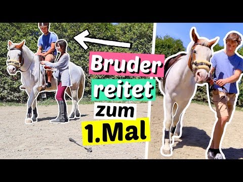 Video: Wie Gehe Ich Mit Einem Pferd Um, Das Eine Trittgewohnheit Hat?